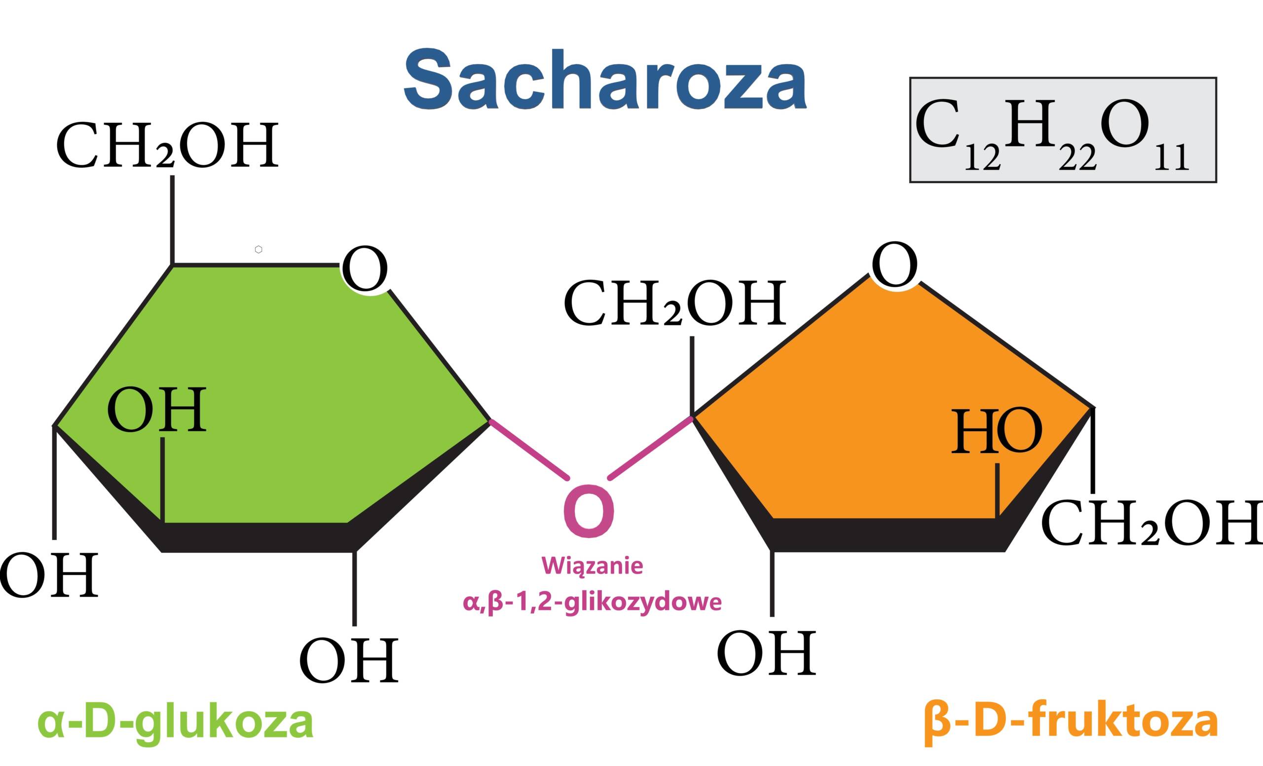 Sacharoza jest produktem kondensacji monosacharydów