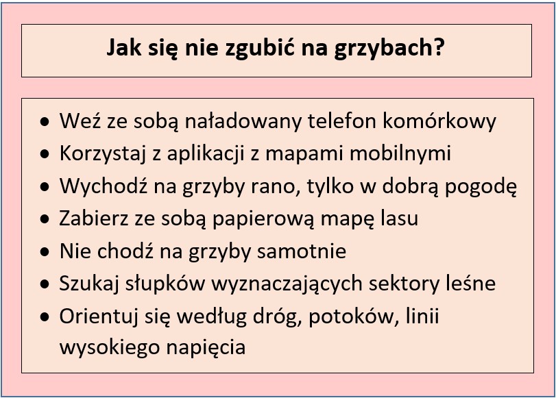 Tabela przedstawiająca podstawowe rady dla grzybiarzy
