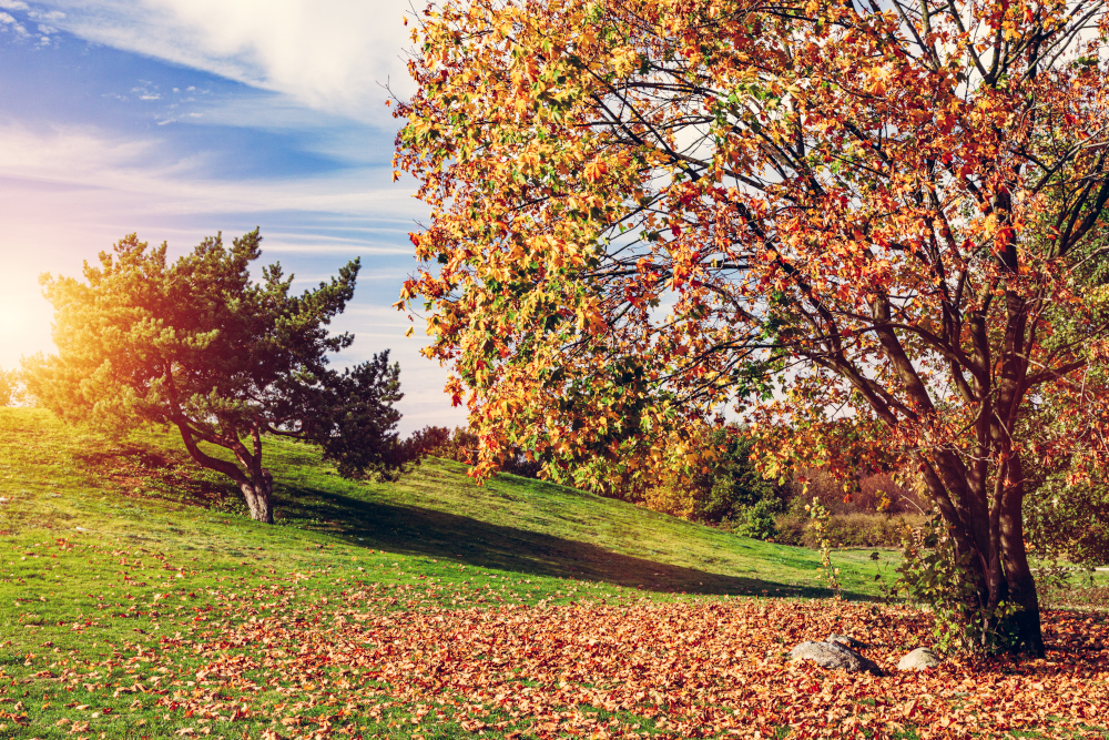 pogoda na środę, 6 listopada 2024 roku