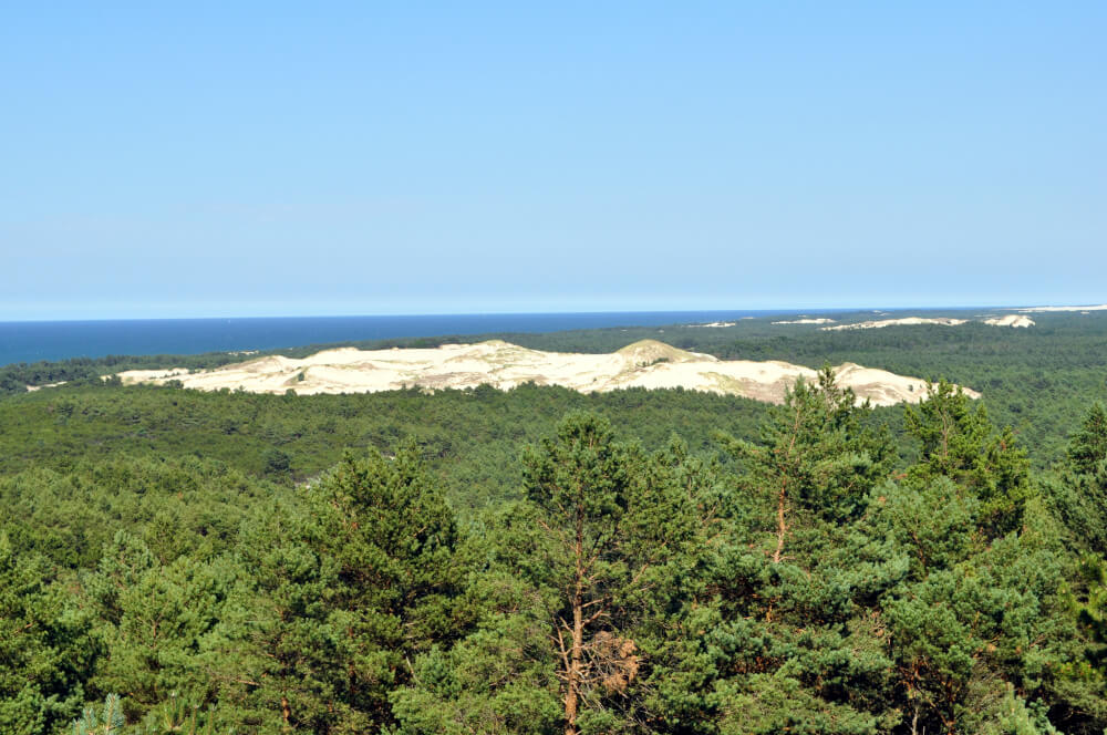 Widok na wydmy z latarni morskiej w Czołpinie