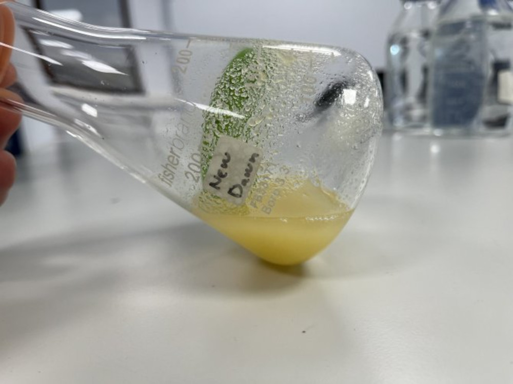 Komórki roślinne w płynnej pożywce