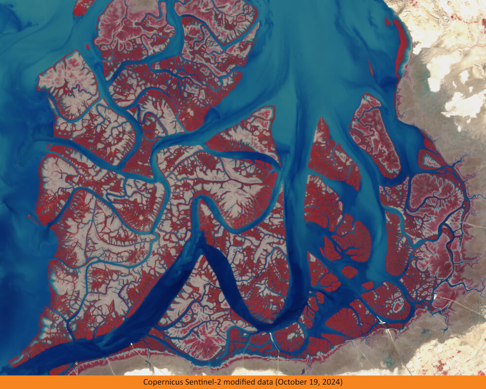 Ogłoszono wyniki piątej edycji międzynarodowego konkursu „Seize the beauty of our Planet”. 