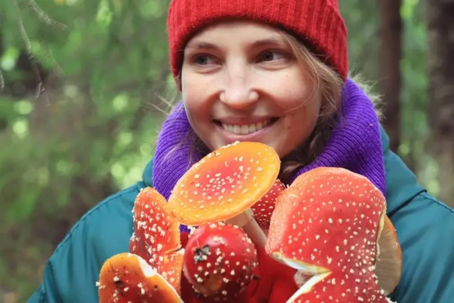 W Polsce pojawiła się niebezpieczna moda na jedzenie muchomorów