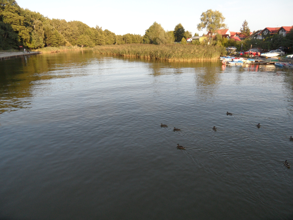 Po rzece Łupawie organizowane są spływy kajakowe