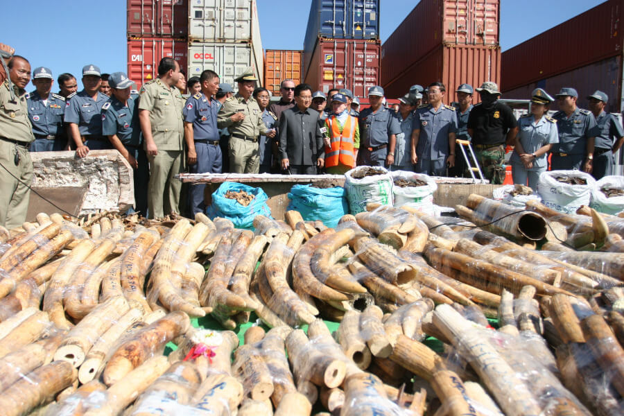 Przemyt kości słoniowej 