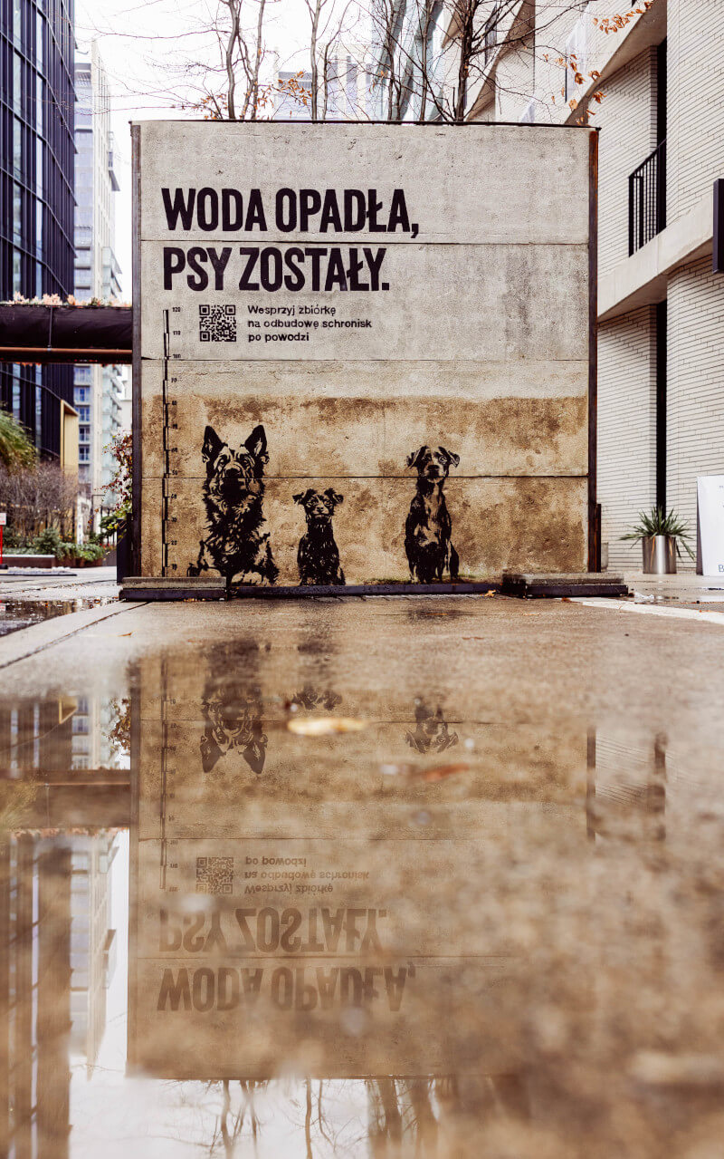 Aby pomóc naprawić szkody wyrządzone przez powódź Grupa Publicis, rusza z kampanią pro publico bono „Woda opadła, psy zostały”.