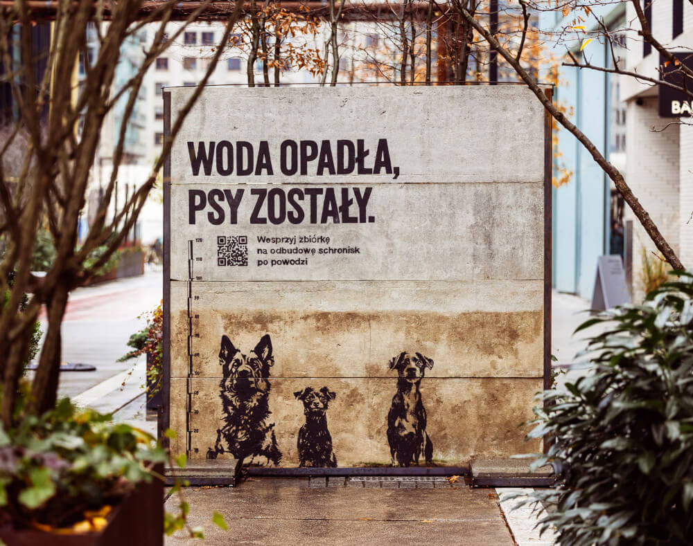Kampania Woda opadła, psy zostały
