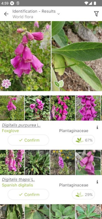 PlantNet