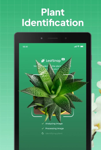 LeafSnap