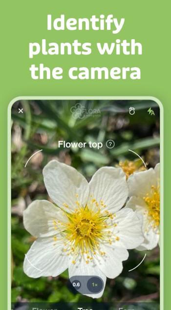 Flora incognito