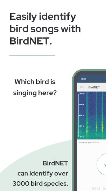 BirdNET