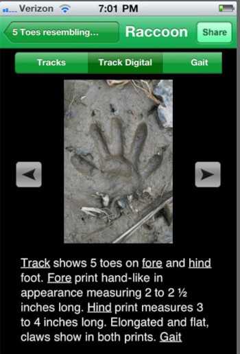 MyNature Animal Tracks