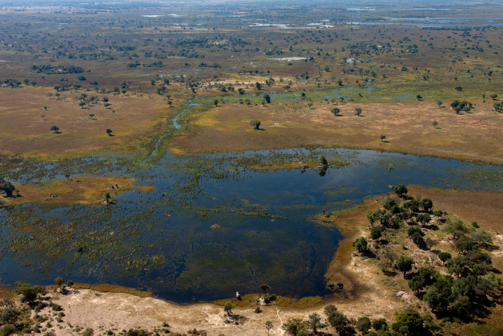 Delta Okavango