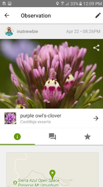 aplikacja iNaturalist