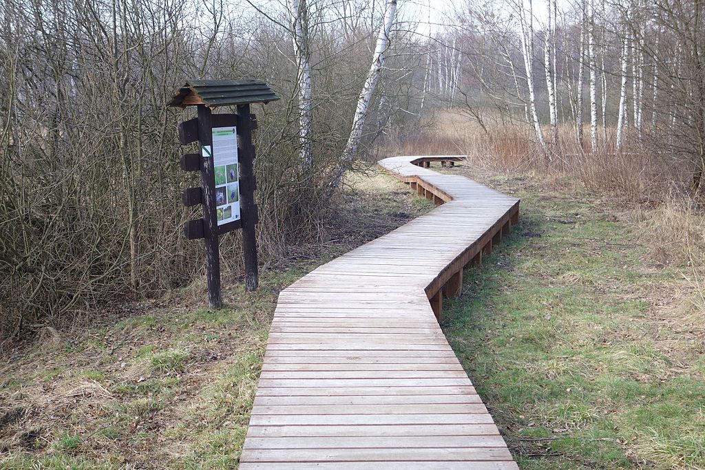 Ścieżka edukacyjna „Wokół Opalenia”