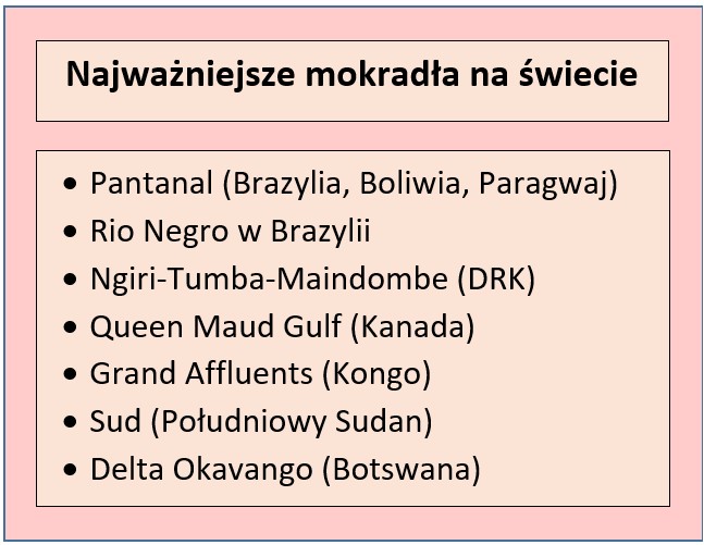 Najważniejsze i największe mokradła na świecie