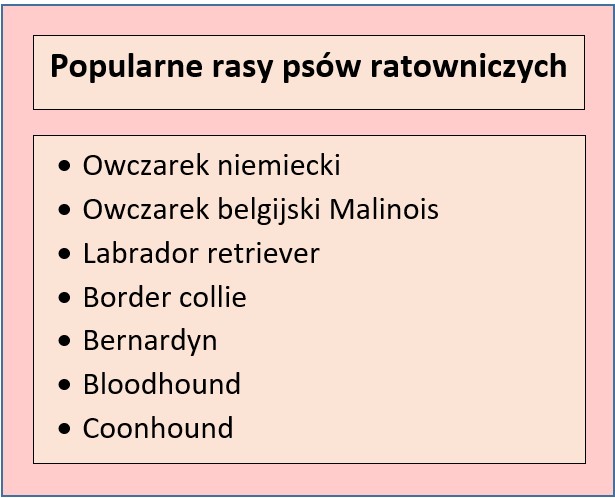 Rasy psów wykorzystywanych w ratownictwie górskim
