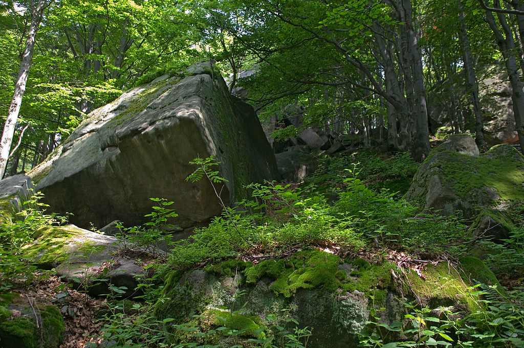 Rezerwat skalny Kornuty w MPN