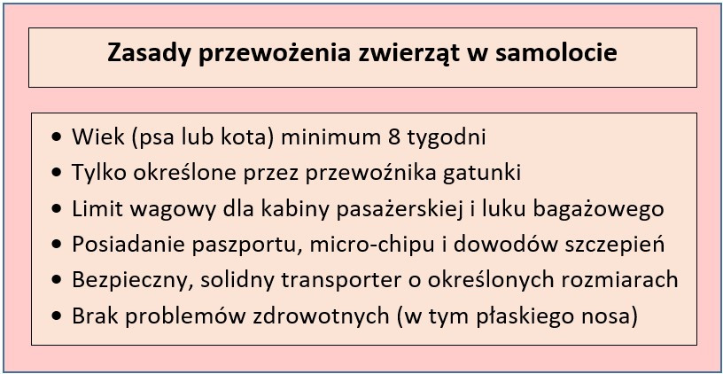 Podstawowe zasady przewożenia zwierząt w samolocie