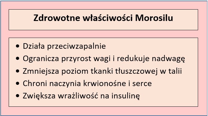 Tabela przedstawiająca prozdrowotne właściwości Morosilu; opracowanie własne