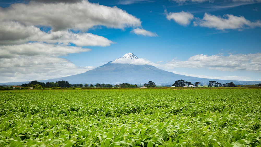Góra Taranaki,