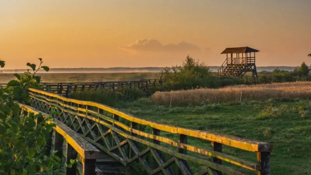 Narwiański Park Narodowy