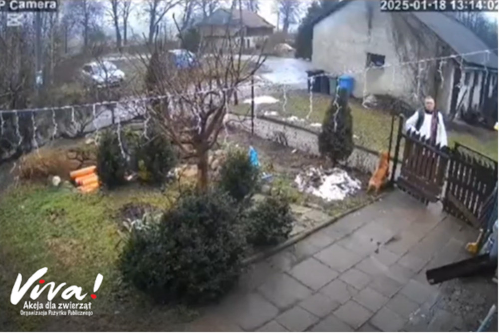 Ksiądz z województwa warmińsko-mazurskiego próbował skrzywdzić psa