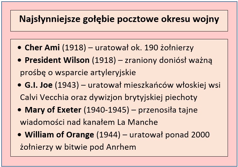 gołębie pocztowe