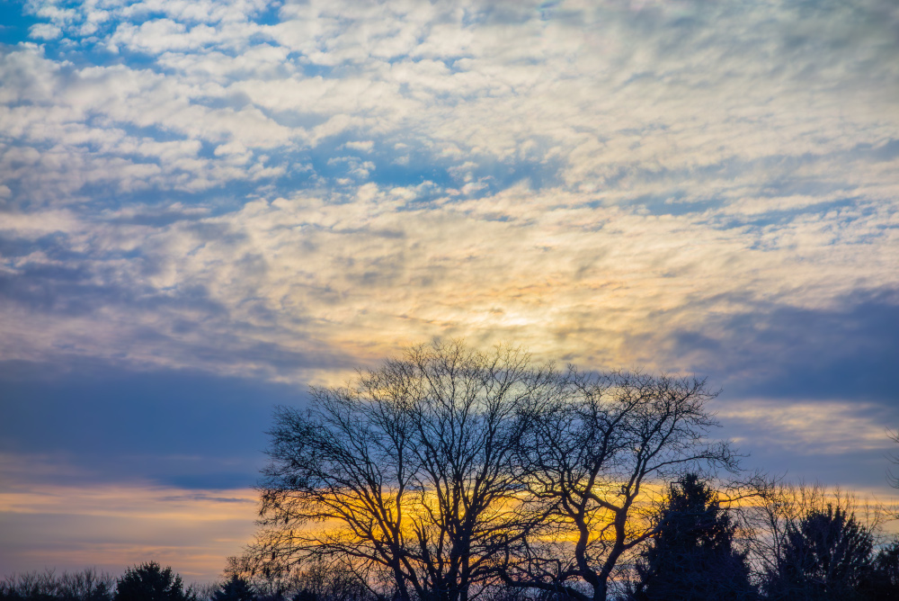 Pogoda na 29 stycznia 2025 roku