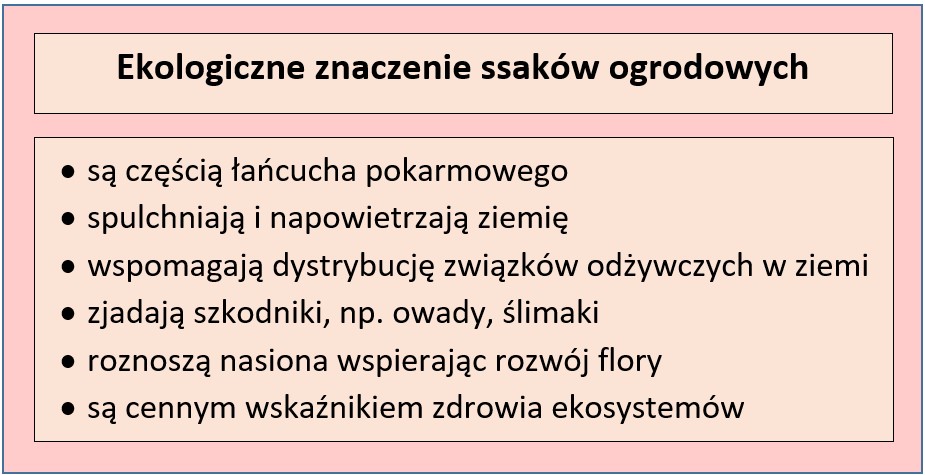 Ekologiczne role małych ssaków