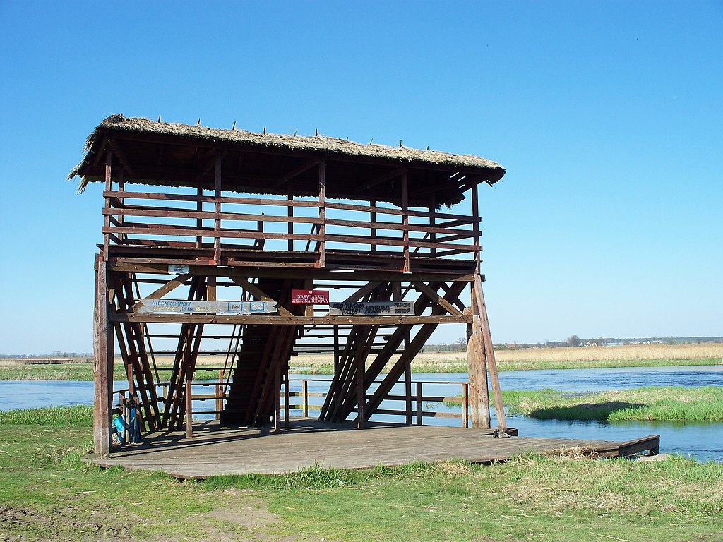 Wieża widokowa w Waniewie
