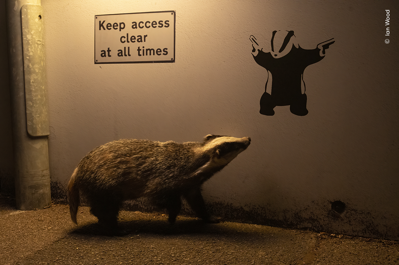 No Access, Winner, People's Choice AwardIan Wood, UK - Wildlife Photographer of the Year