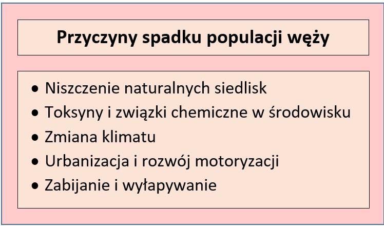 Główne przyczyny spadku populacji węży w Polsce