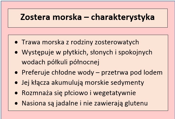 Charakterystyka botaniczna zostery