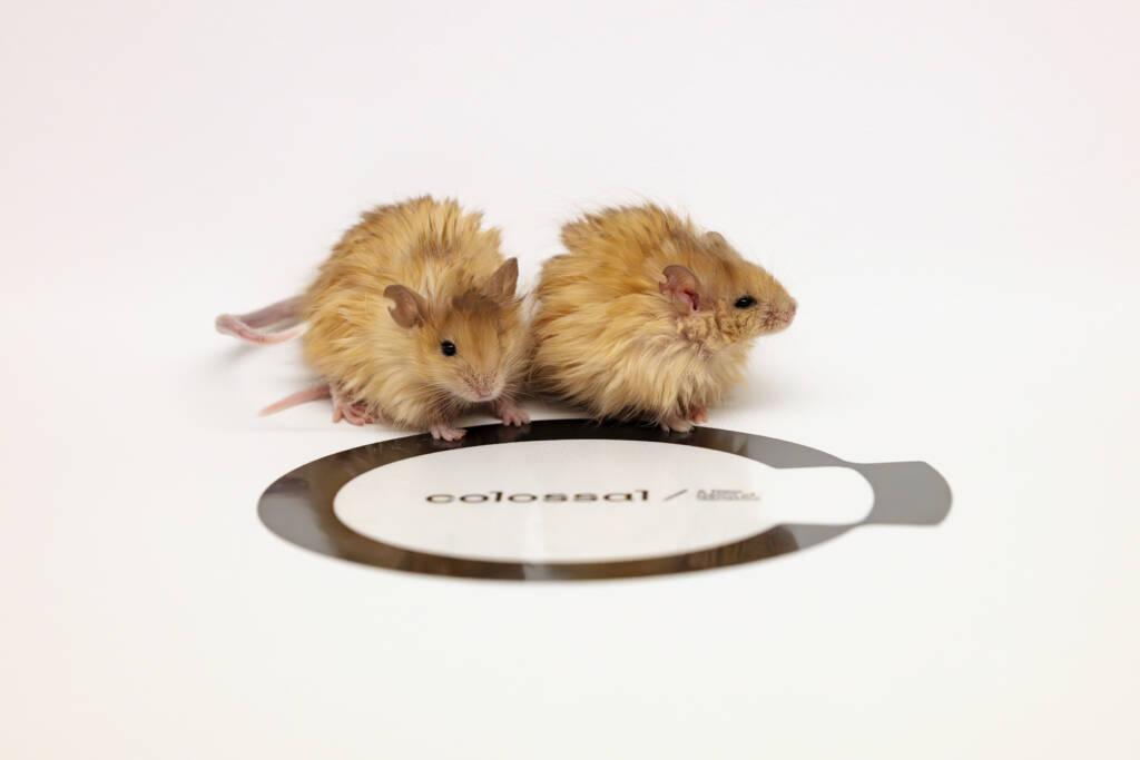 Colossal Biosciences