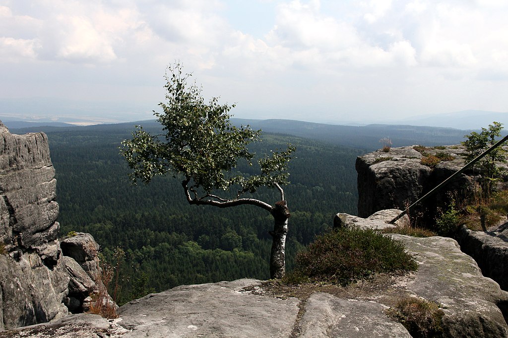 Widok ze Szczelińca Wielkiego