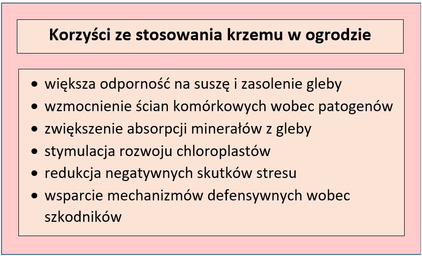 funkcje krzemu w biologii roślin