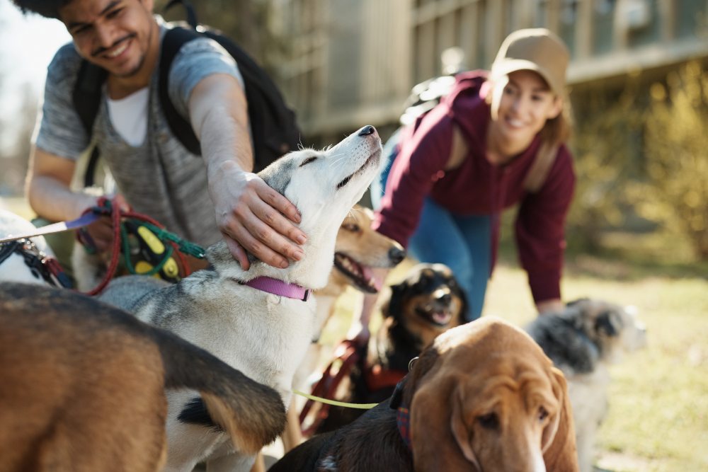 Posiadanie psa buduje także więzi społeczne