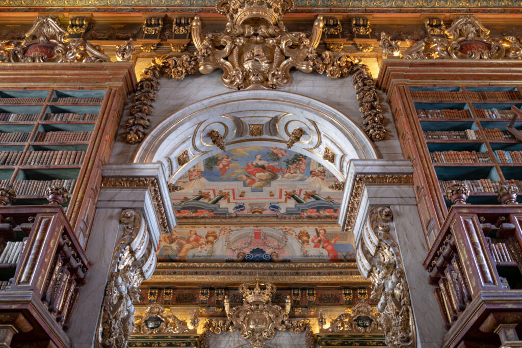 Nietoperze zamieszkujące 300-letnią bibliotekę zjadają owady, które pochłaniają klej i papie