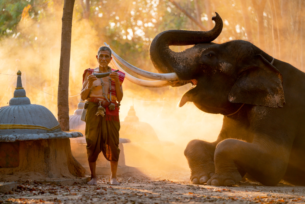 Filmy przyrodnicze, które warto zobaczyć