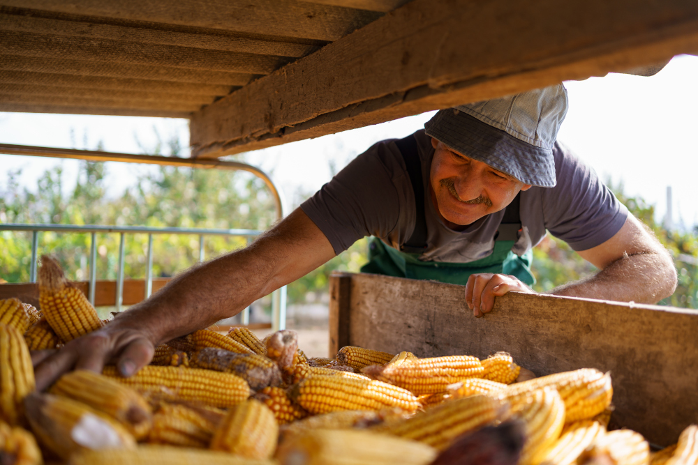 Gujana jest samowystarczalna
