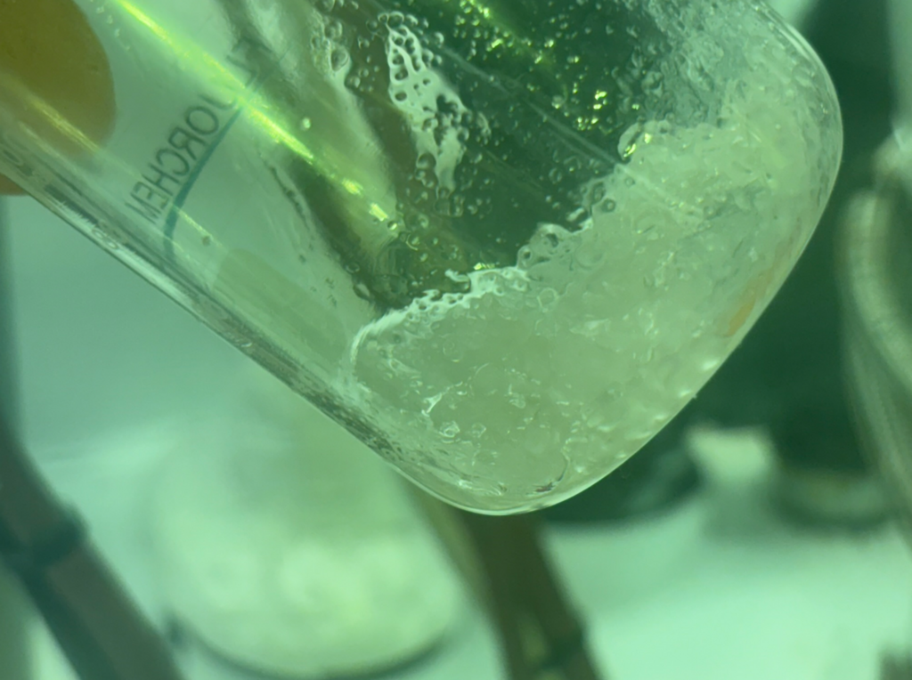 PFAS – „wieczne chemikalia” o toksycznym działaniu. Co musisz wiedzieć?