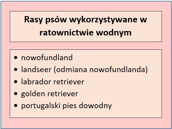 rasy psów wykorzystywanych w ratownictwie wodnym