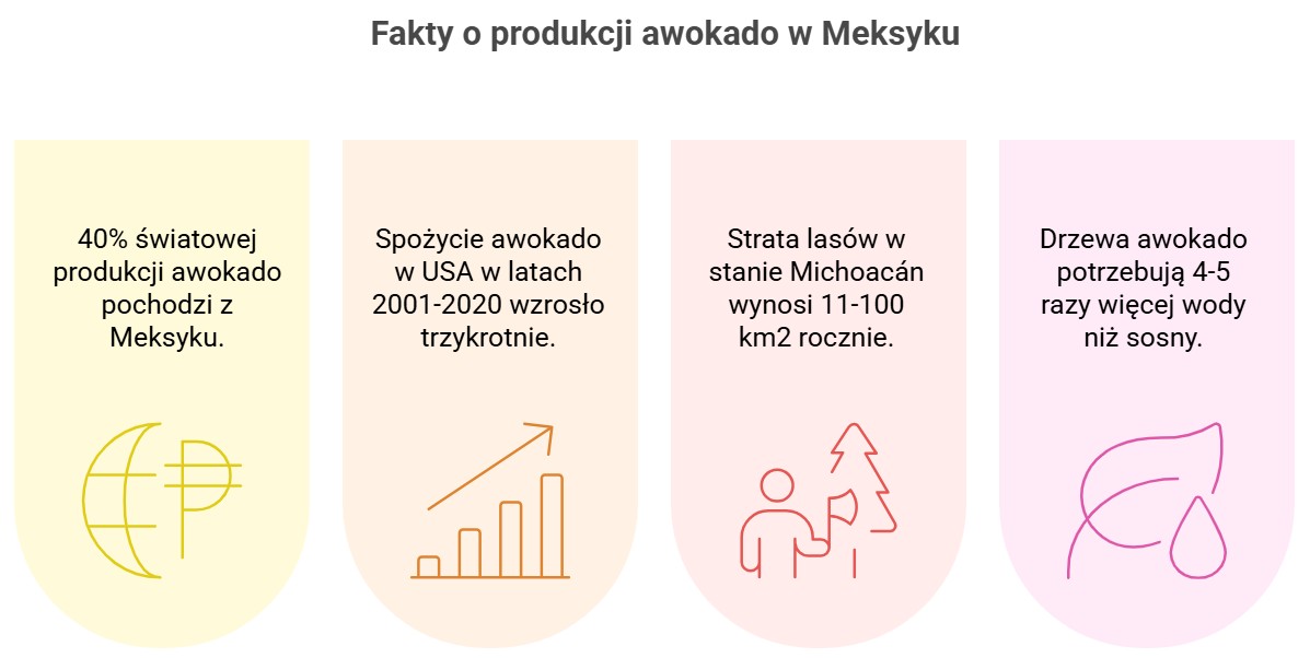 fakty nt. uprawy awokado w Meksyku