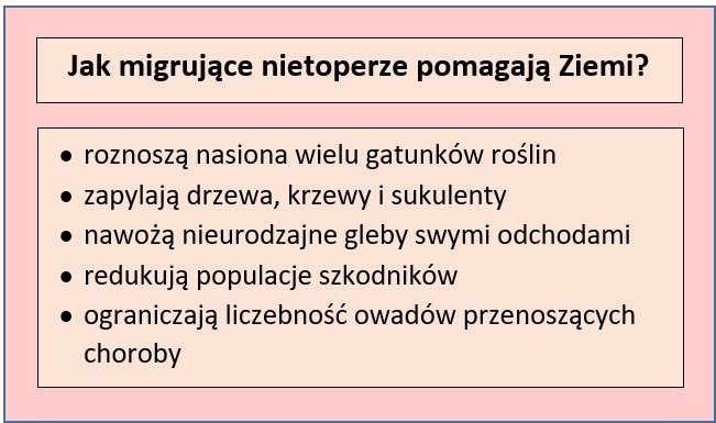 konsekwencje ekologiczne migracji nietoperzy