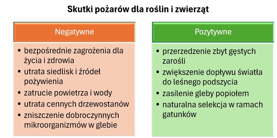 pozytywne i negatywne skutki pożarów dla przyrody ożywionej