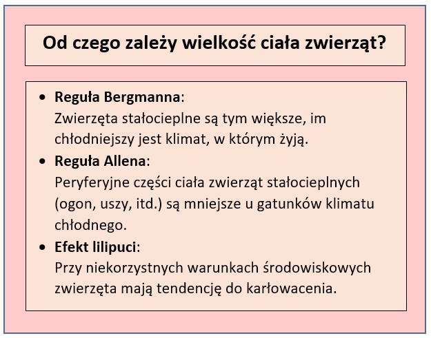 podstawowe reguły rządzące rozmiarami w świecie zwierząt