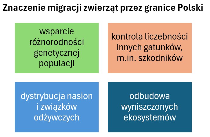 Diagram przedstawiający znaczenie transgranicznych migracji zwierząt