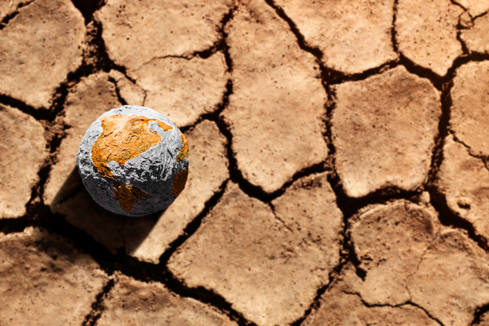 Apel do premiera: Polska potrzebuje bezpieczeństwa klimatycznego
