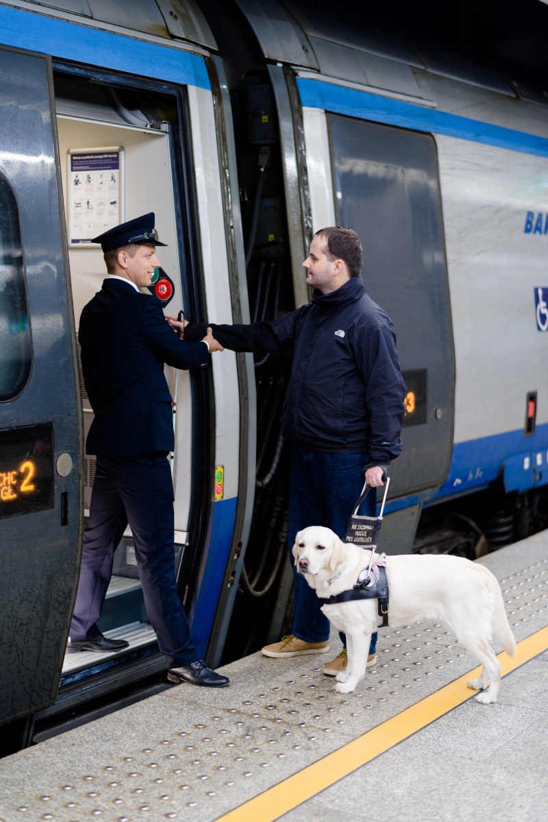 Większy pies w pociągu PKP Intercity na smyczy i w kagańcu obok swojego pełnoletniego opiekuna, wymagane świadectwo szczepienia przeciw wściekliźnie